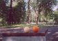 Fruits / Parc Elisarov
